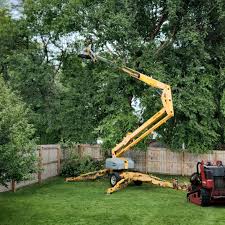 Grass Overseeding in Yreka, CA