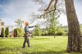 Best Tree Preservation Services  in Yreka, CA