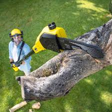 Best Lawn Irrigation Installation and Maintenance  in Yreka, CA