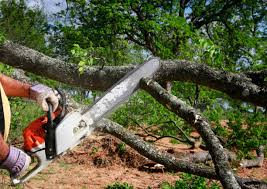 Best Firewood Processing and Delivery  in Yreka, CA